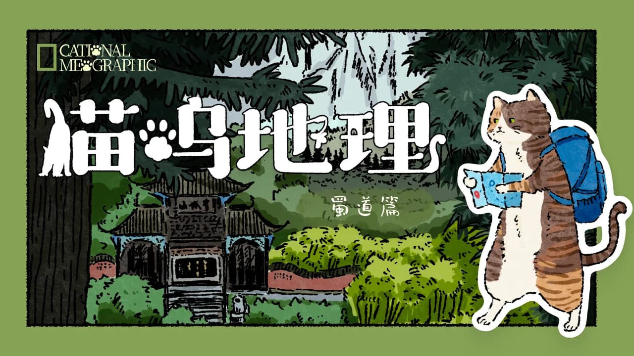 “我的桌游设计就差个美术?”(3)