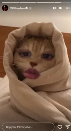 邵雨薇回應粉絲的27秒影片截圖