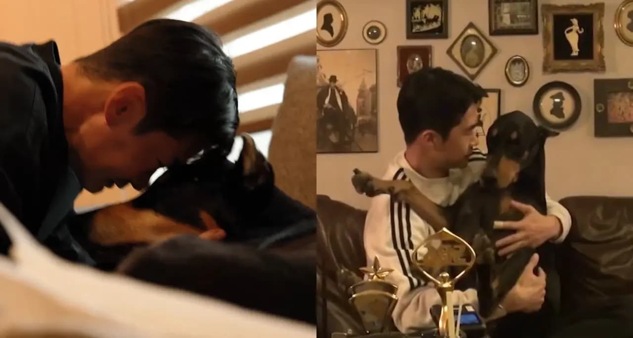 狗女兒「貝爾」半年前才手術成功拿掉惡性腫瘤,裴正楠心痛送走唯一家人