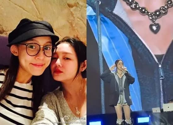 大陆媒体指称范玮琪佩戴疑似骨灰项链的图片(来源:微博)