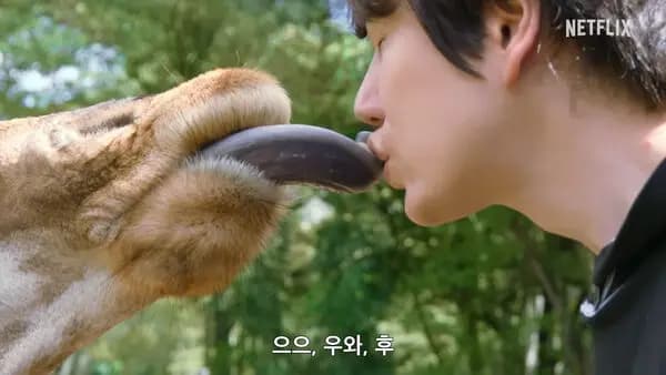 圭贤喂食长颈鹿画面