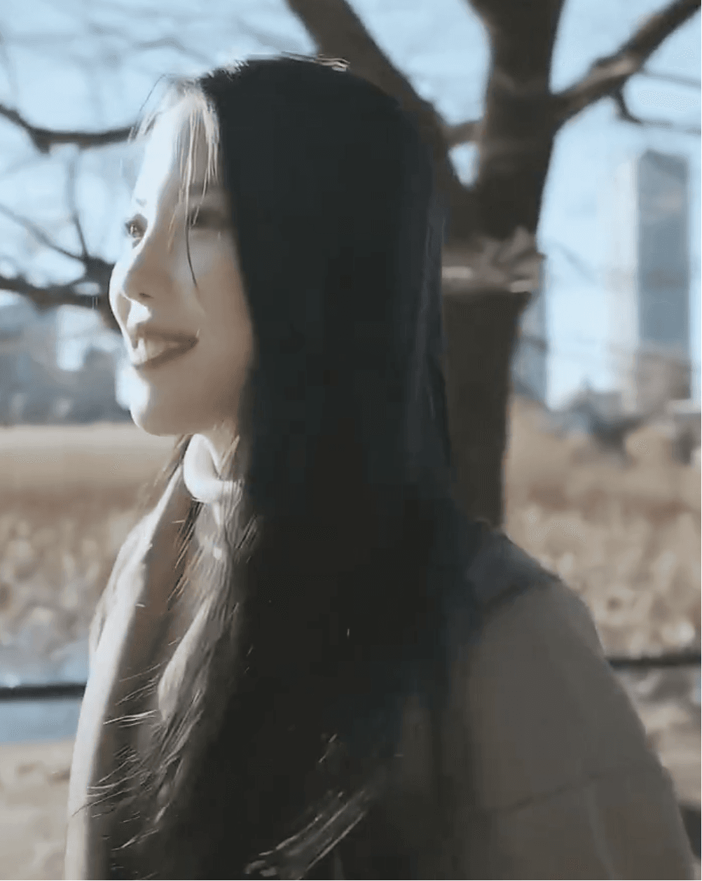 Screenshot of a comment section where fans discuss their favorite FC2 goddess