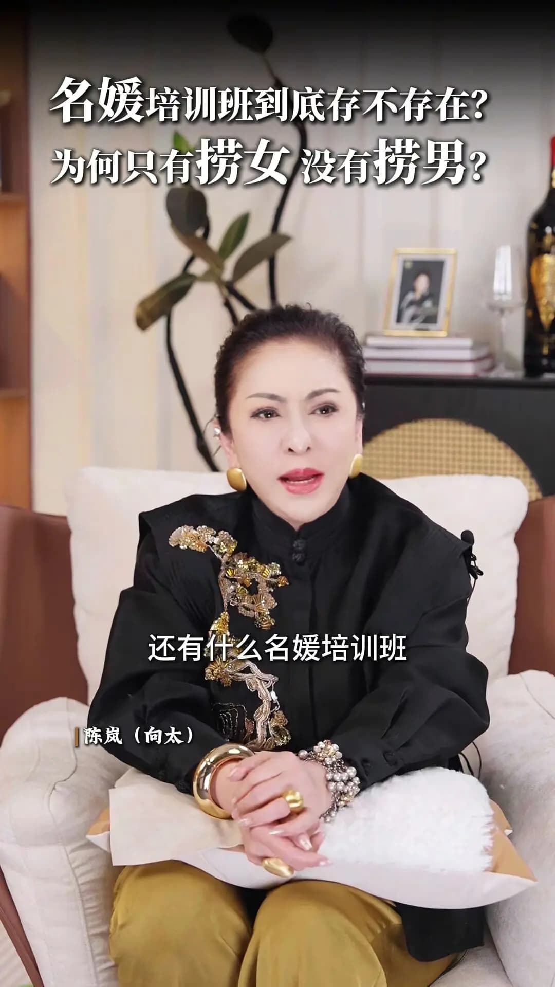向太陳嵐在影片中斷言名媛培訓班根本不存在